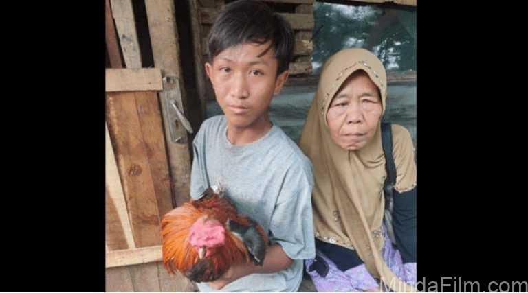 ak Punya HP Buat Belajar Online, Anak Yatim di Rumpin Ini Ingin Jual Ayam Kesayangannya